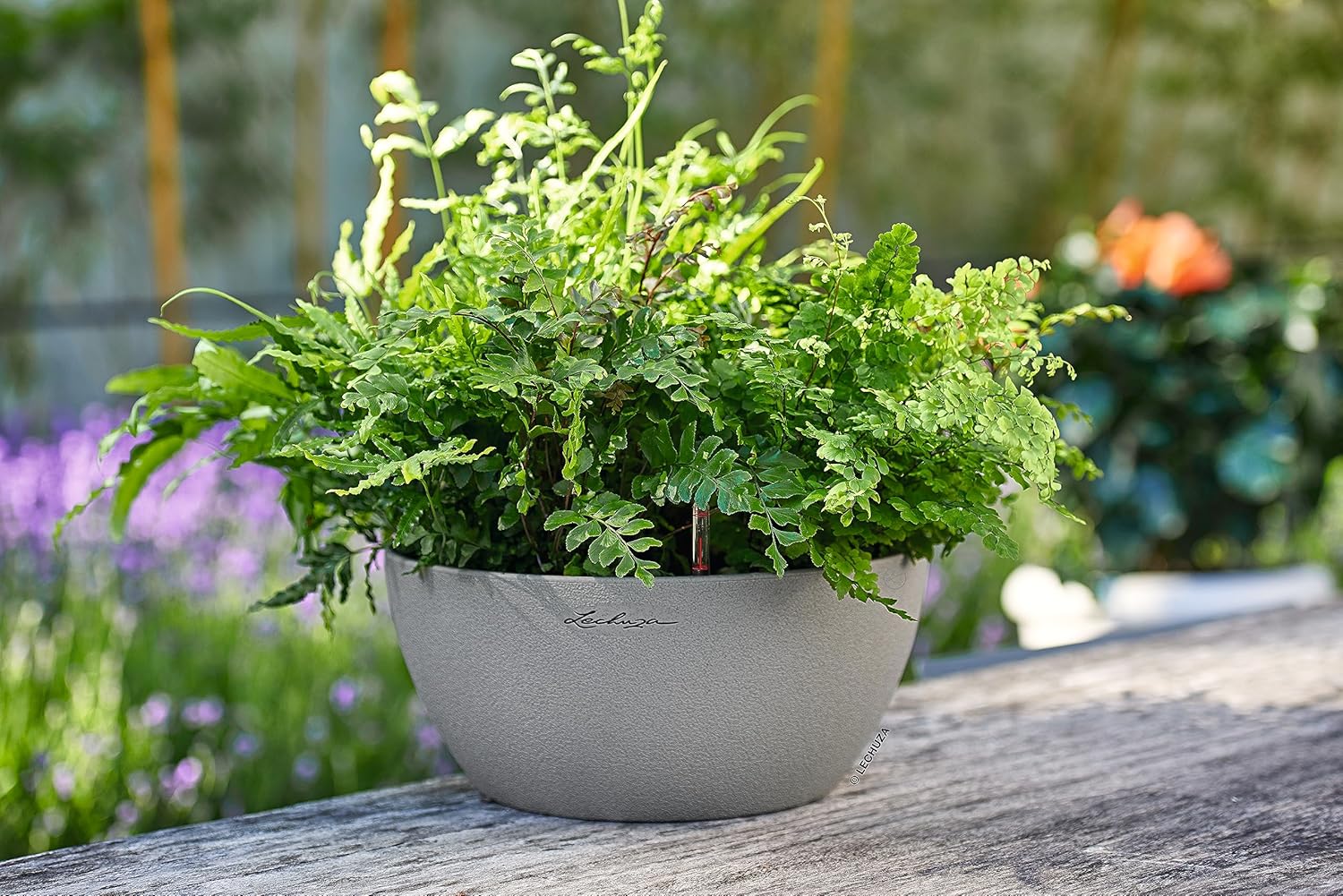 Detalle de Lechuza Stone Cubeto – Pot d’extérieur et d’intérieur avec réservoir d’eau intégré Ø30 cm