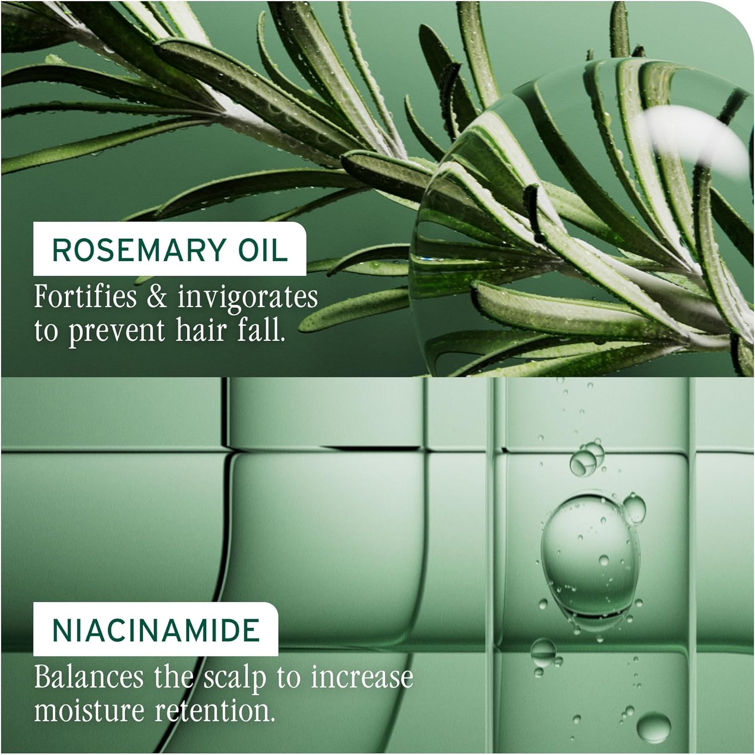 Thumbnail 6 de Biolage Full Rescue Densifying Leave-In Spray (250ml) with Rosemary Oil & Niacinamide