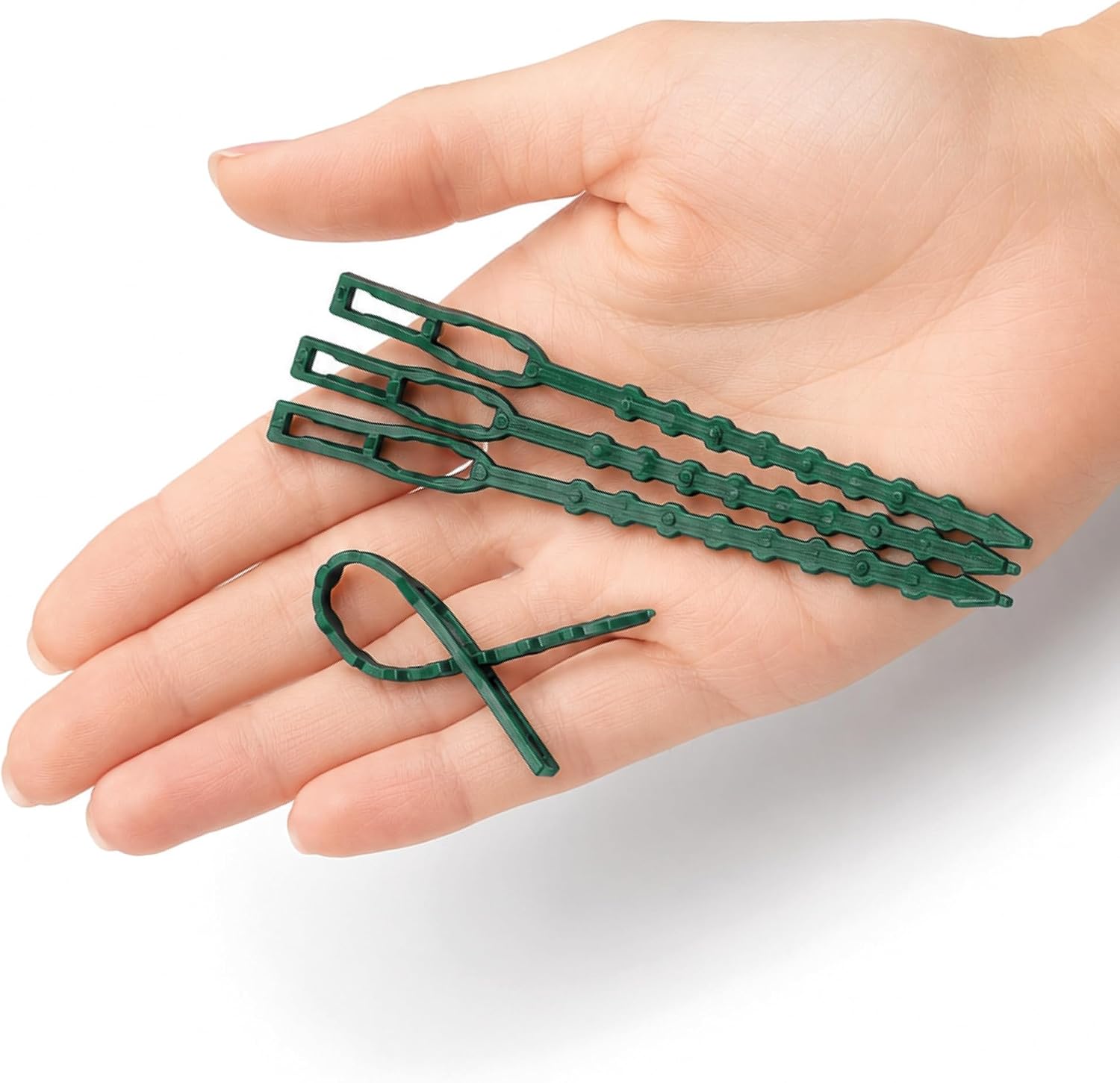Thumbnail 4 de COM-FOUR® 200x: Raccoglitore per piante verde, 10 cm – 200 fascette riutilizzabili