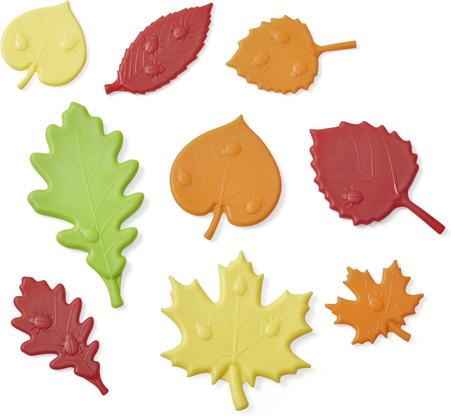 Thumbnail 5 de hand2mind Sensory Leaves Math Activity Set 🎲