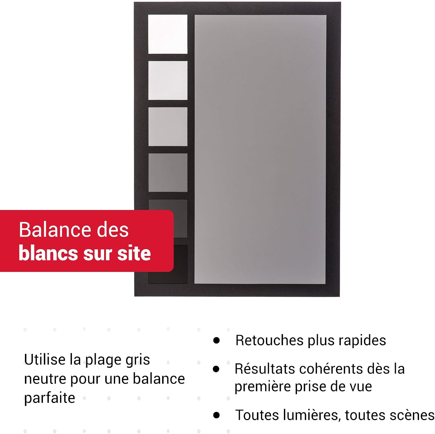 Detalle de Datacolor SpyderCheckr24 – Carte couleur pour calibrage photo avec 24 patchs couleur (Noir)