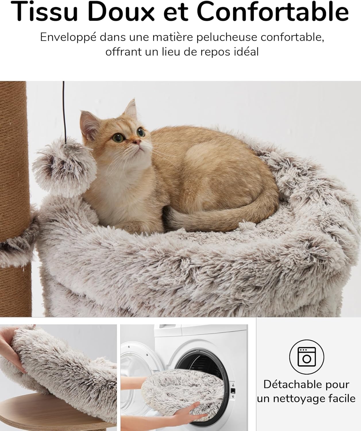 Thumbnail 3 de FUKUMARU Arbre à Chat 155 cm : tour d’intérieur multi-niveaux avec 6 griffoirs et hamac