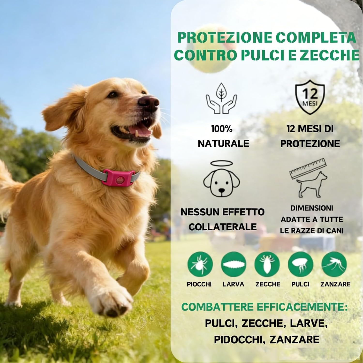 Detalle de Aquality Pets Collare Antiparassitario Naturale: protezione duratura per cani e gatti