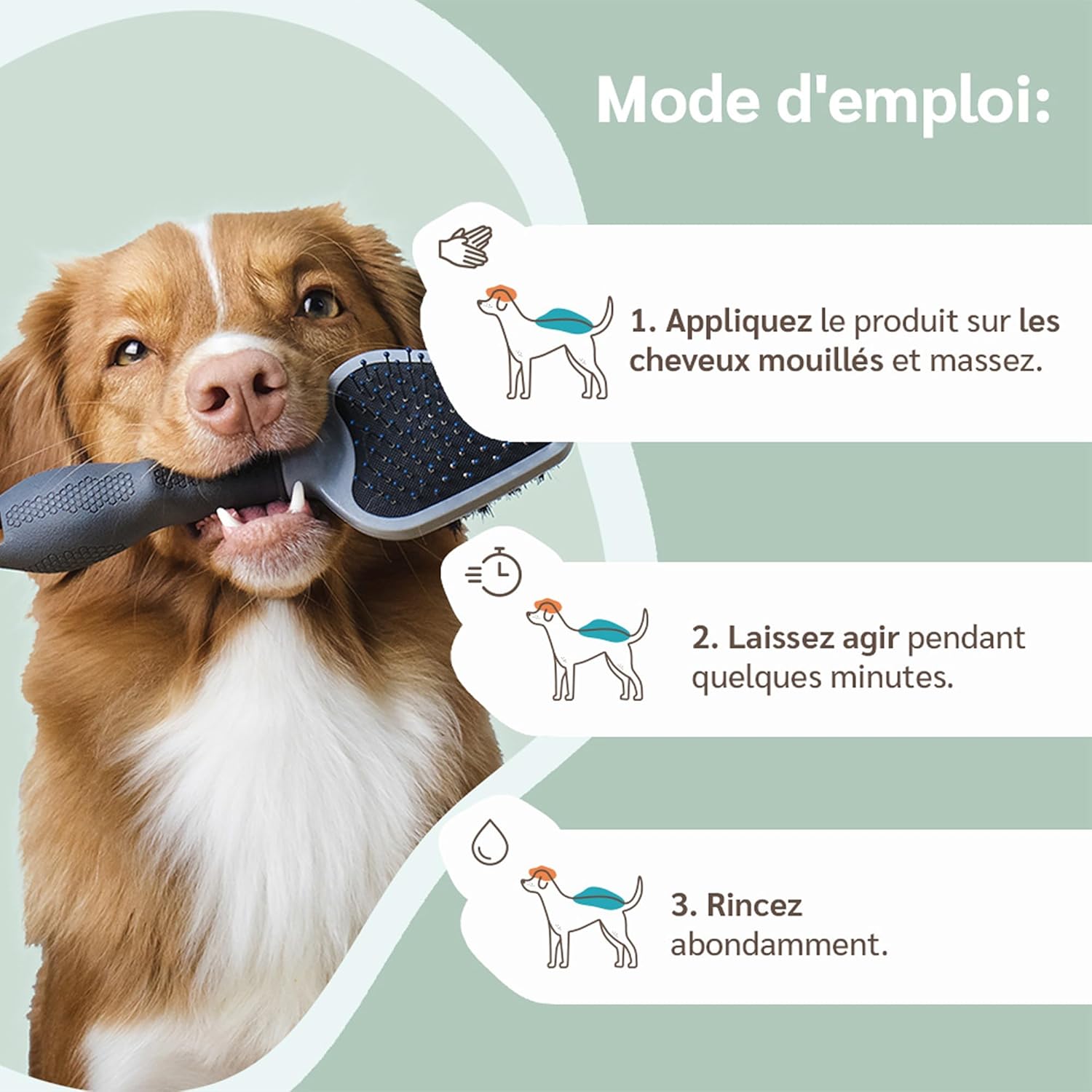 Thumbnail 4 de AMUSI Shampoing Chien Neutre 250ml