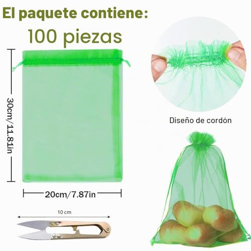 Thumbnail 1 de Bolsas de Protección para Uvas 20 x 30 cm – 100 unidades de RURIZHONGTIAN