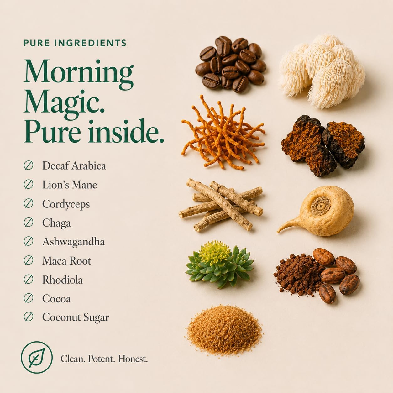 Detalle 2 de Ancient Extracts Morning Magic Mushroom Coffee Decaf (180g) with Lions Mane, Cordyceps, Ashwagandha & Maca Root