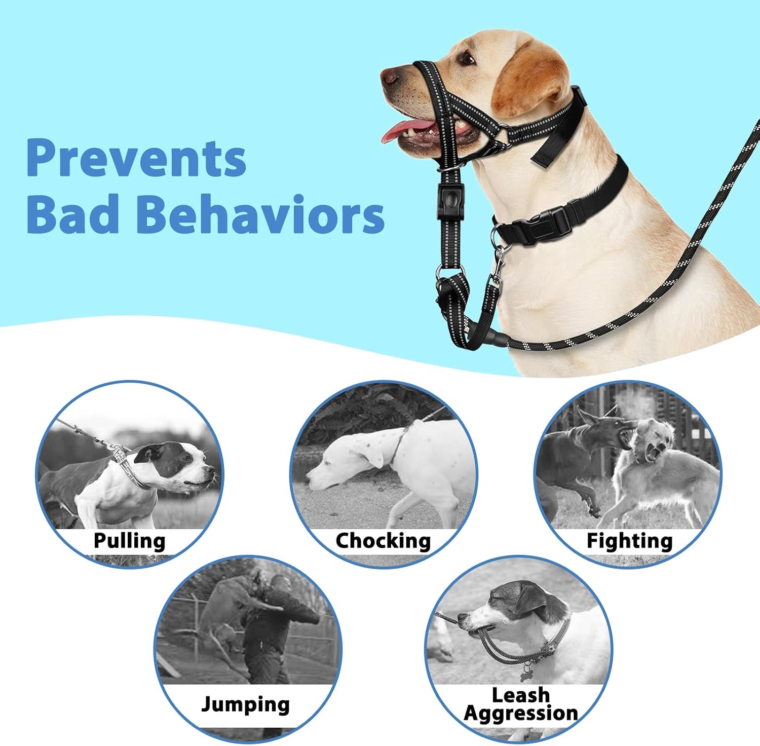 Thumbnail 6 de Mayerzon Dog Head Collar with Soft Padded – XL Black (Gentle Leader, No-Pull)