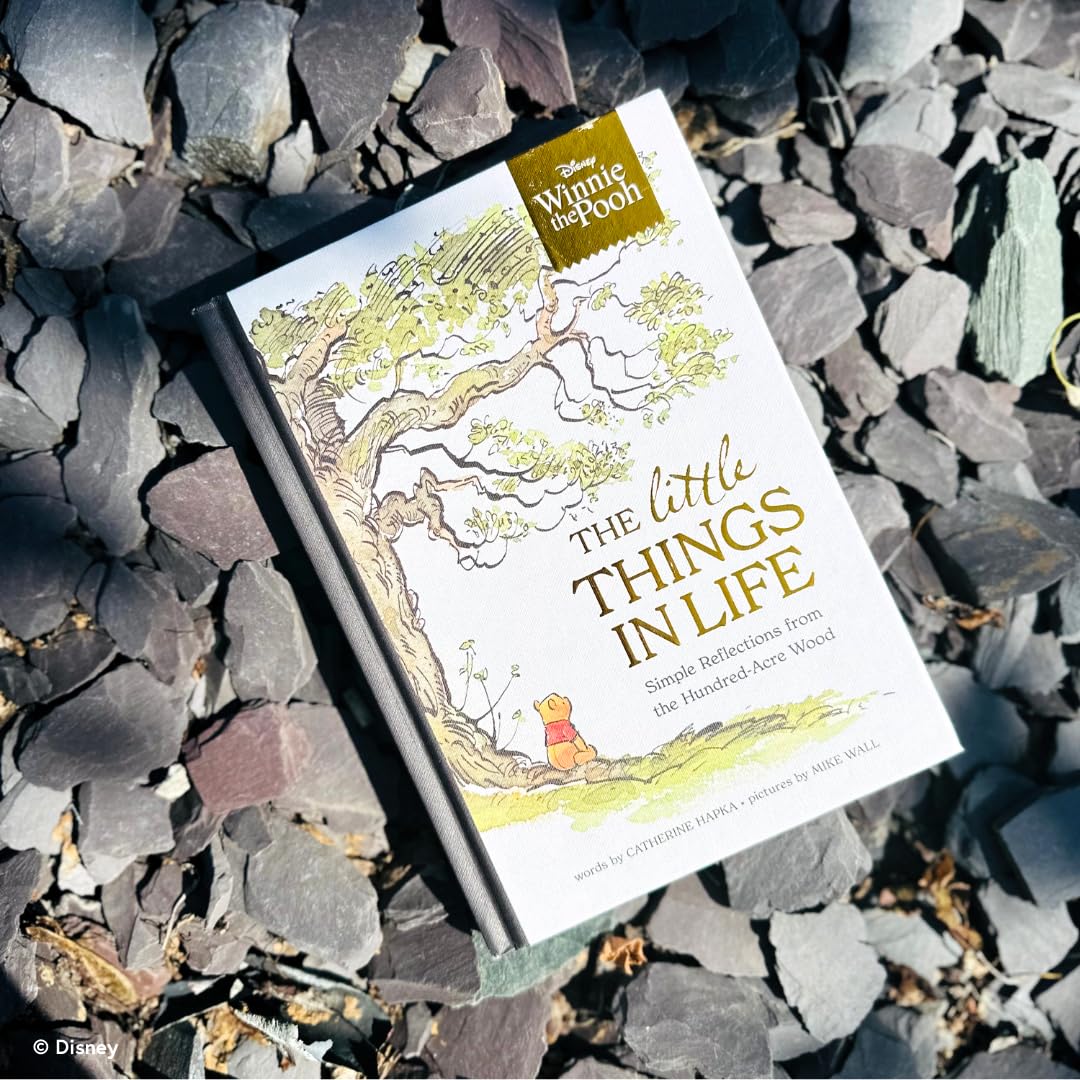 Thumbnail 4 de Disney Winnie the Pooh The Little Things in Life book 📚
