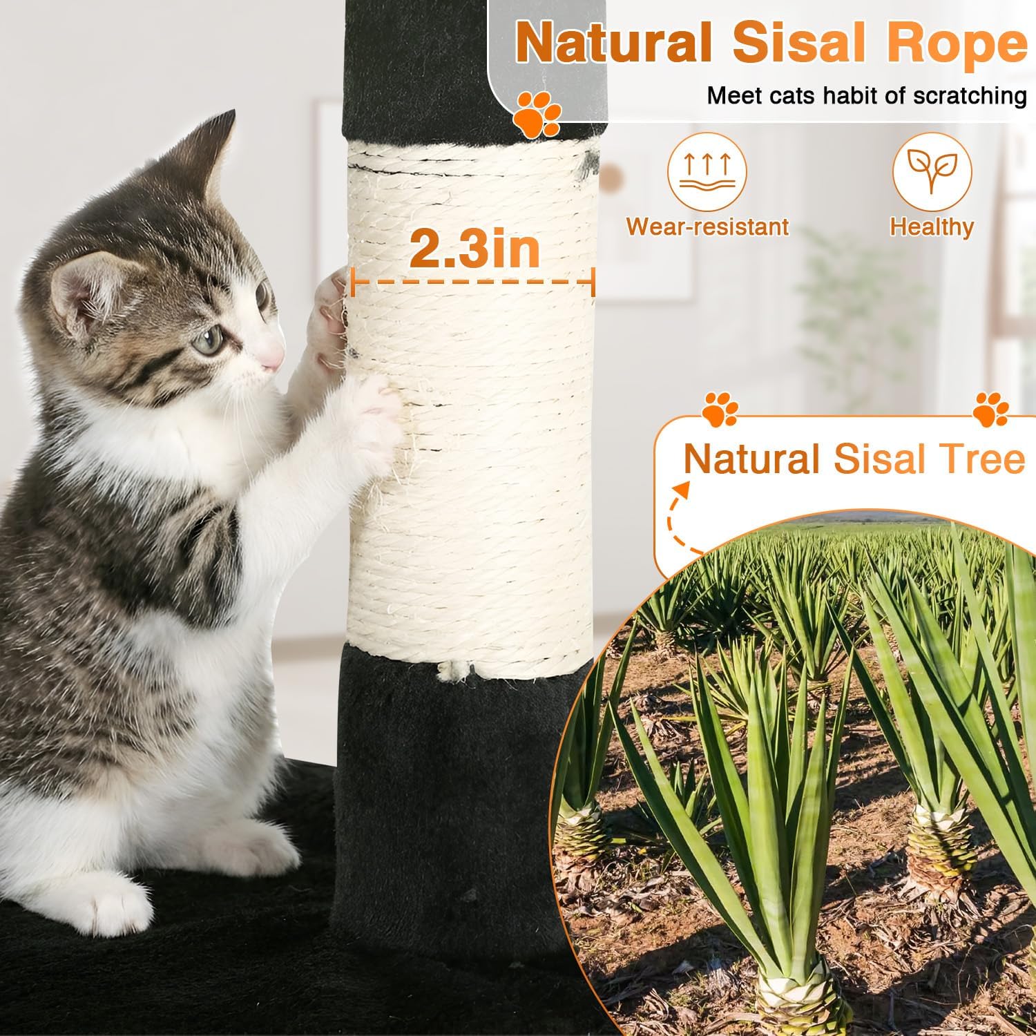 Detalle de FDW Cat Tree 54-Inch Tower with Sisal Posts, Condo and Plush Perches