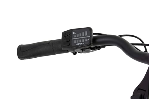 Detalle 2 de F.lli Schiano E-Moon Bici eléctrica 36V 13Ah