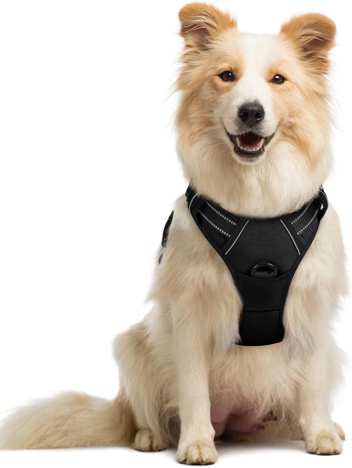Detalle de rabbitgoo Dog Harness Medium no-pull adjustable 1 harness