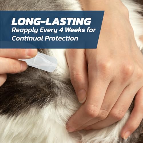 Detalle 2 de Cat Flea Treatment Spot On x 6 – Flea & Tick Solution for Cats & Kittens Over 1kg