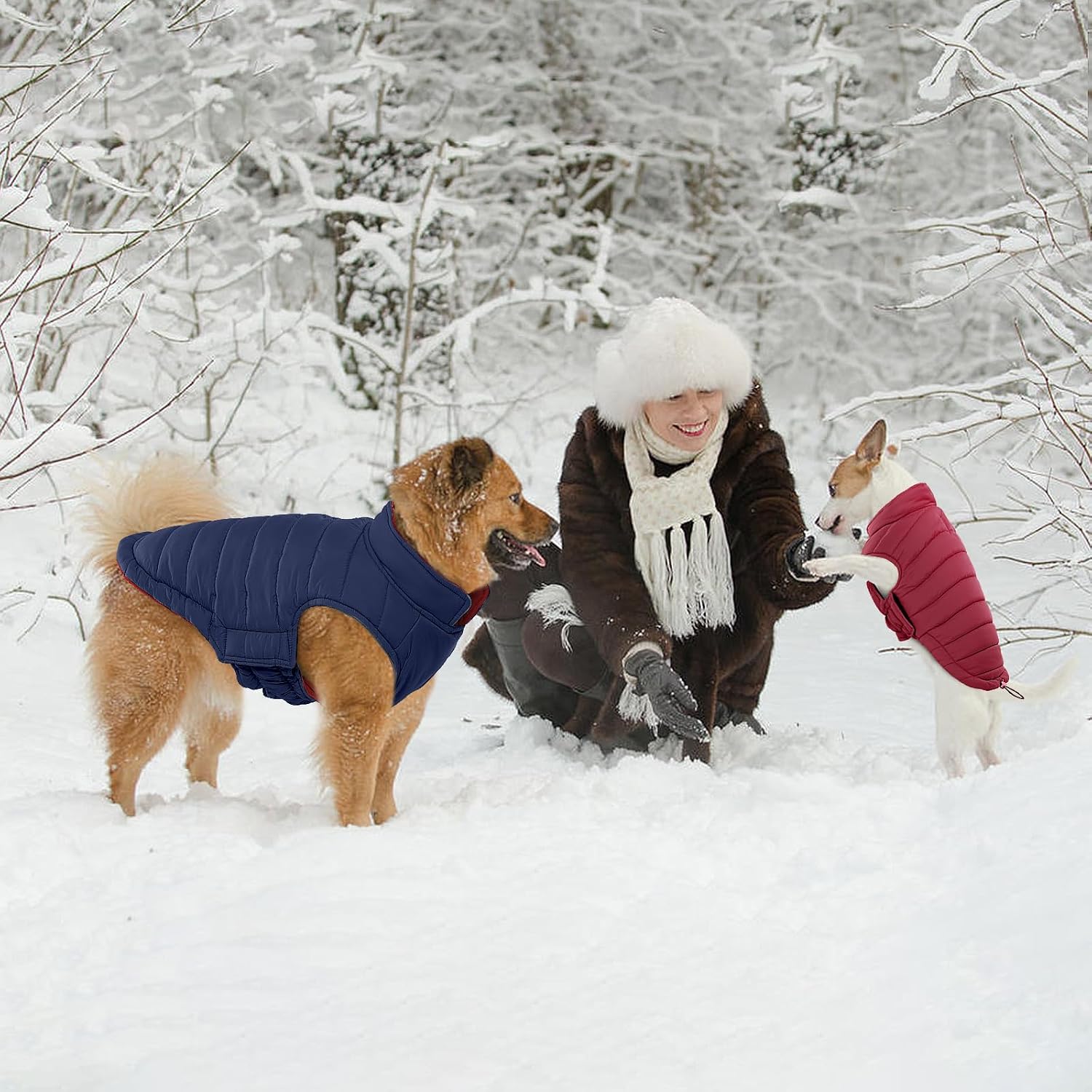 Thumbnail 6 de LeLePet Lelepet dog winter coat XS