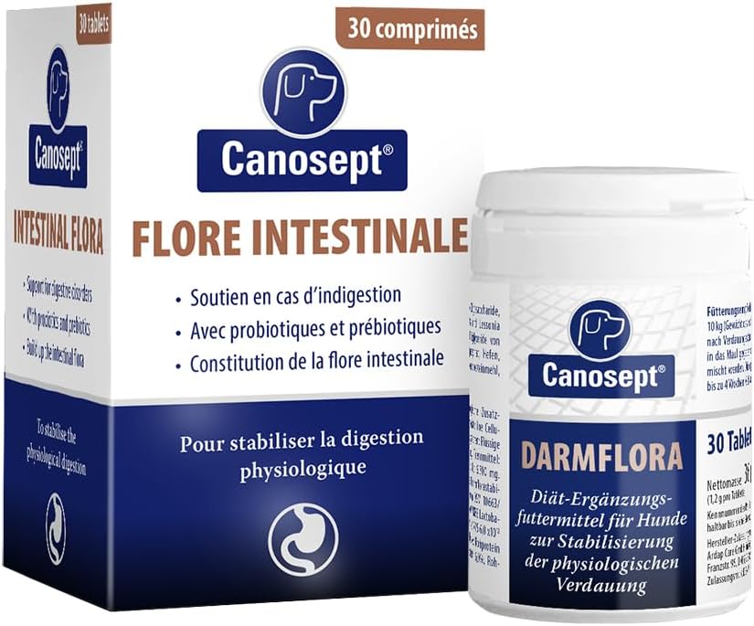 Thumbnail 6 de Canosept – Comprimés articulaires pour chiens (80 comprimés) – Moules vertes, glucosamine et oméga-3