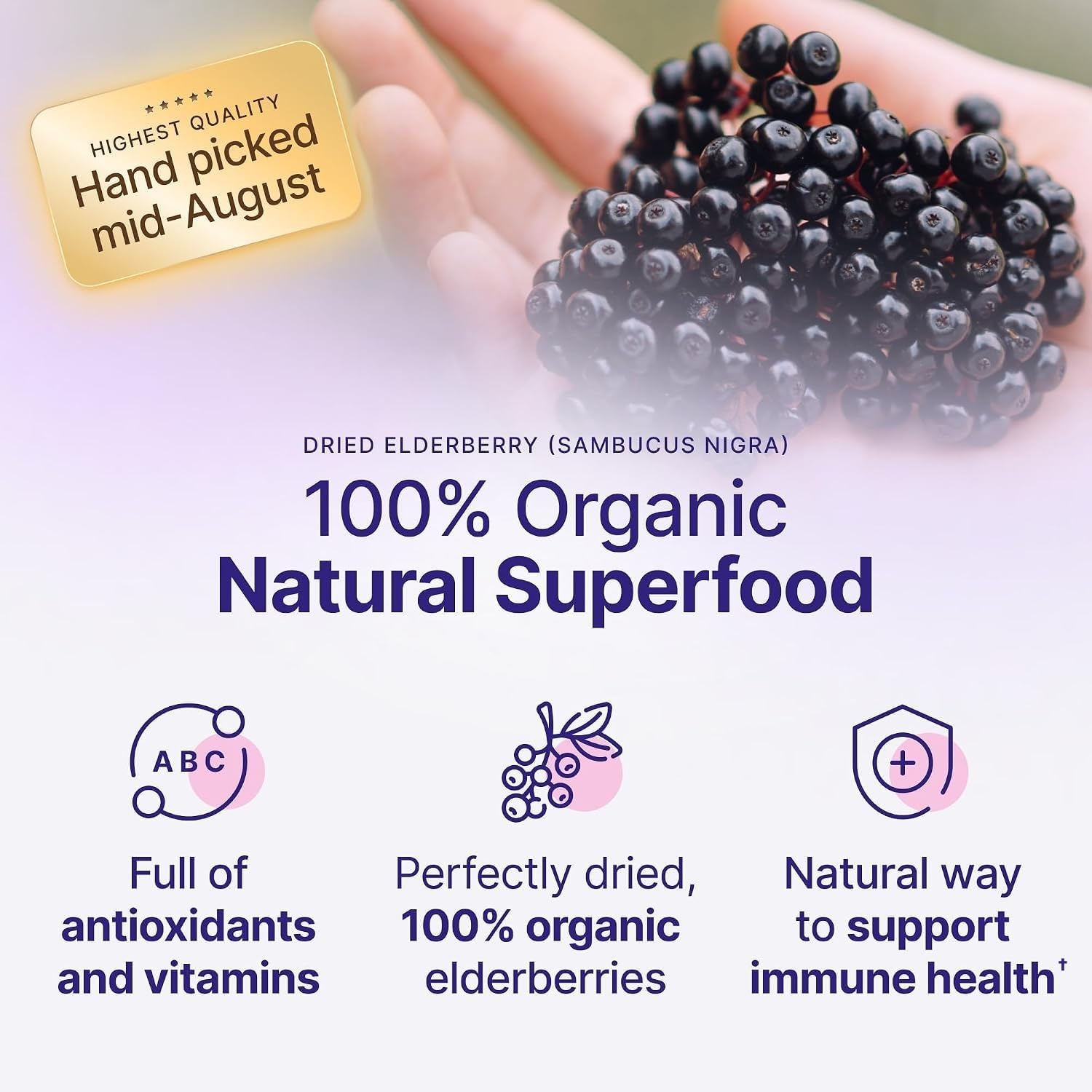 Detalle de Purify Life ODE1 Organic Dried Elderberries, Whole, 1 lb