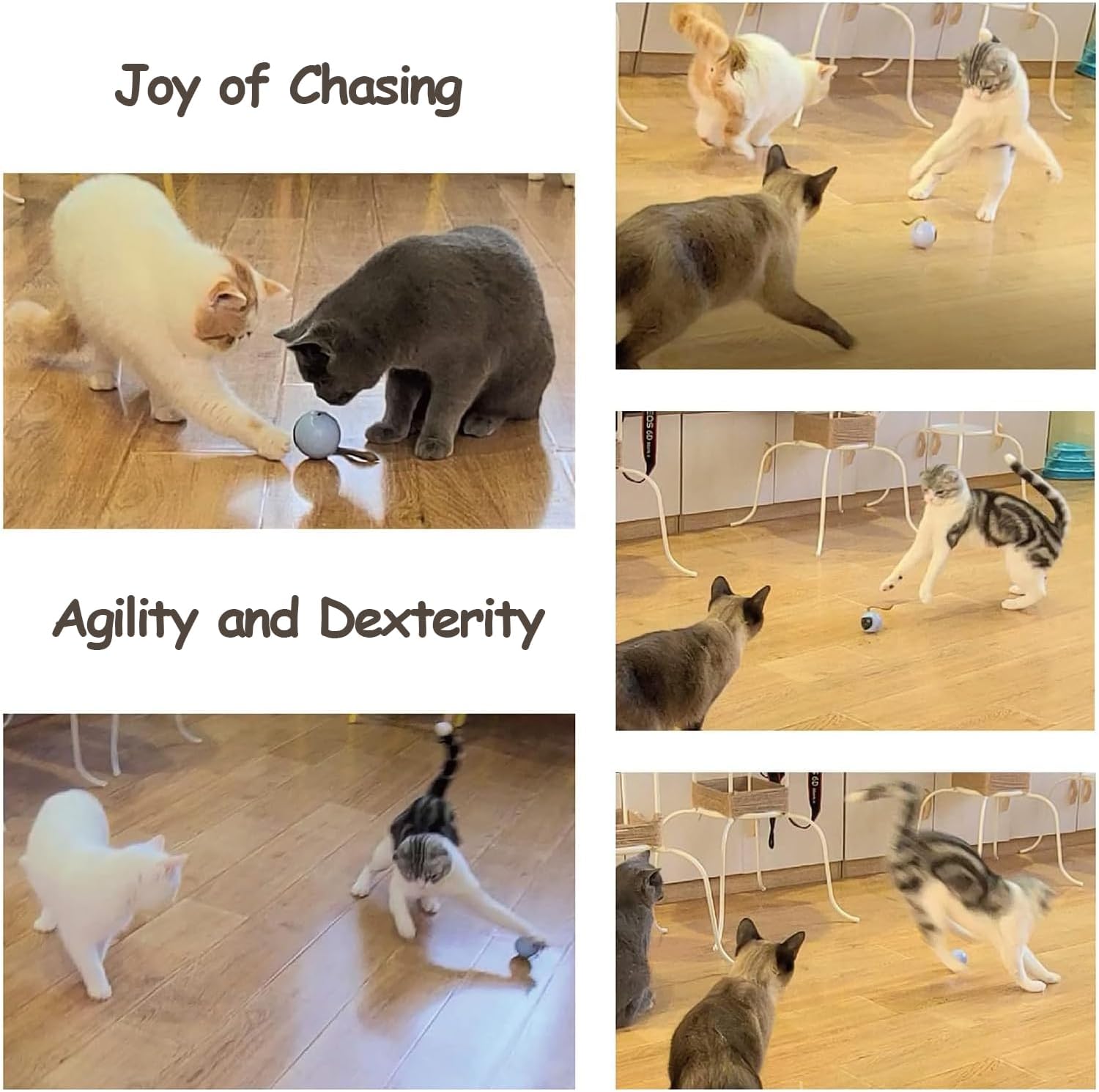 Thumbnail 4 de Migipaws Interactive Cat Ball Toy Set 🐱