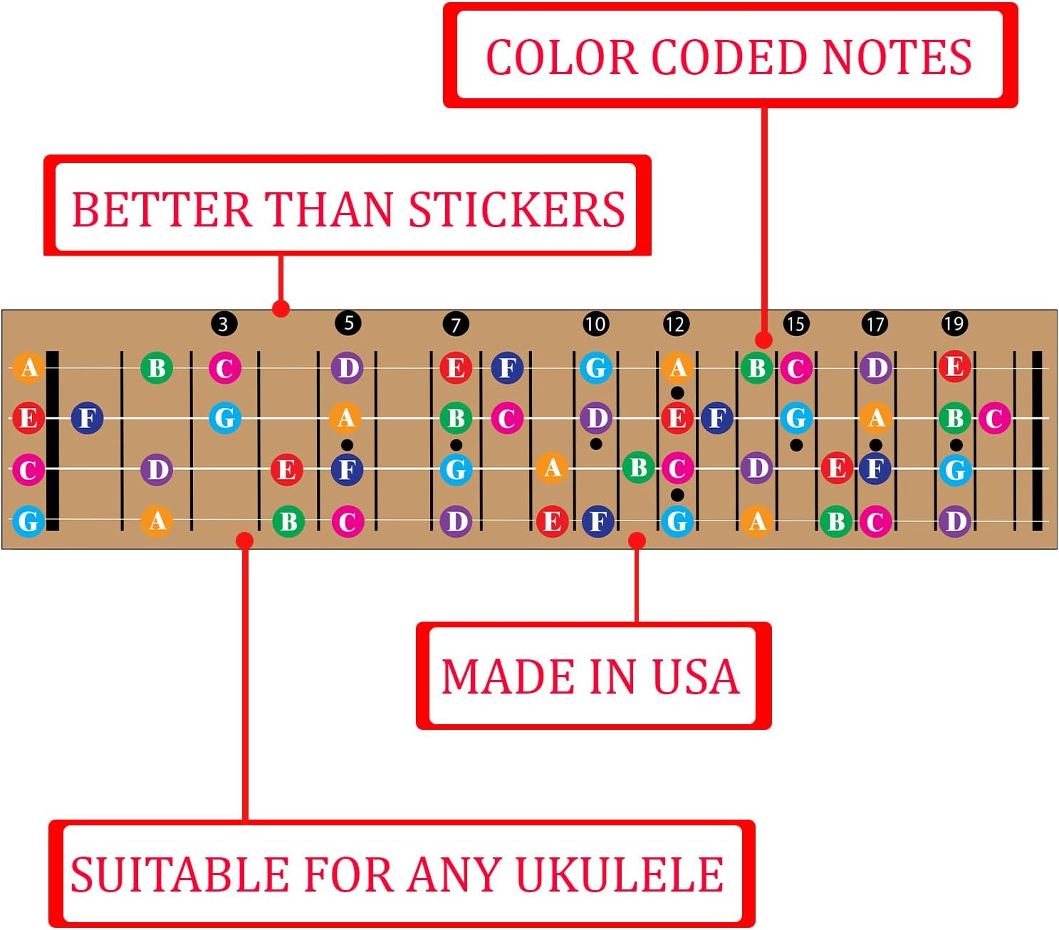 Detalle de QMG Ukulele Fretboard Note Chart
