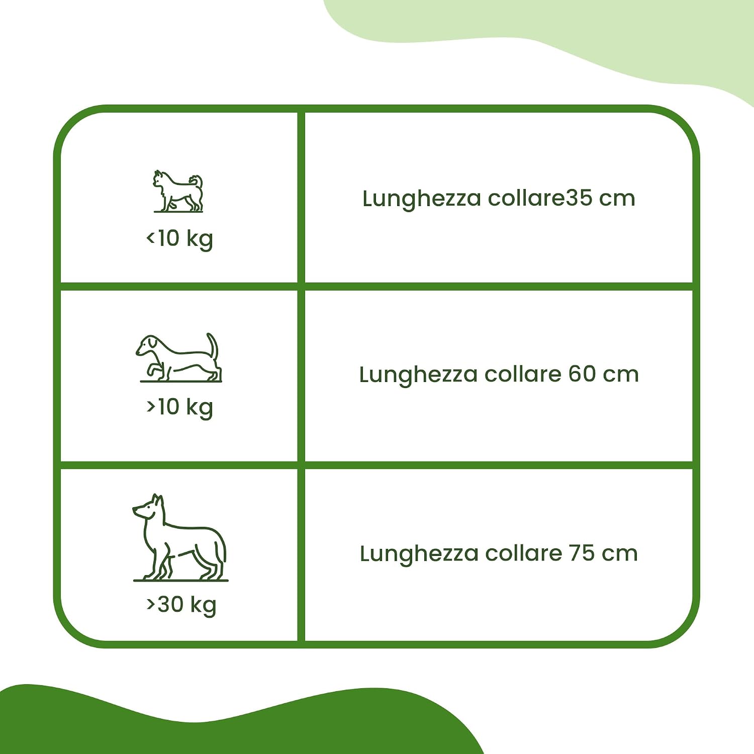 Detalle 2 de CAMON Collare Protettivo per Cane (>10kg) con Olio di Neem, 60 cm: protezione naturale fino a 2 mesi