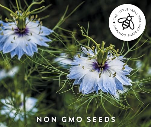 Thumbnail 8 de Gourmet Edible Flower Seed Kit — 8 Varieties by The Little Trees Bees & Seeds Company