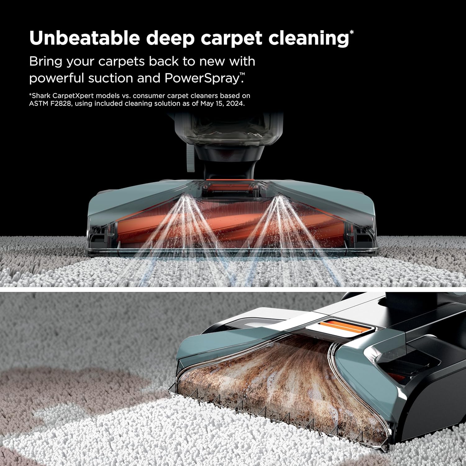 Detalle 2 de Shark CarpetXpert EX151 Carpet Cleaner