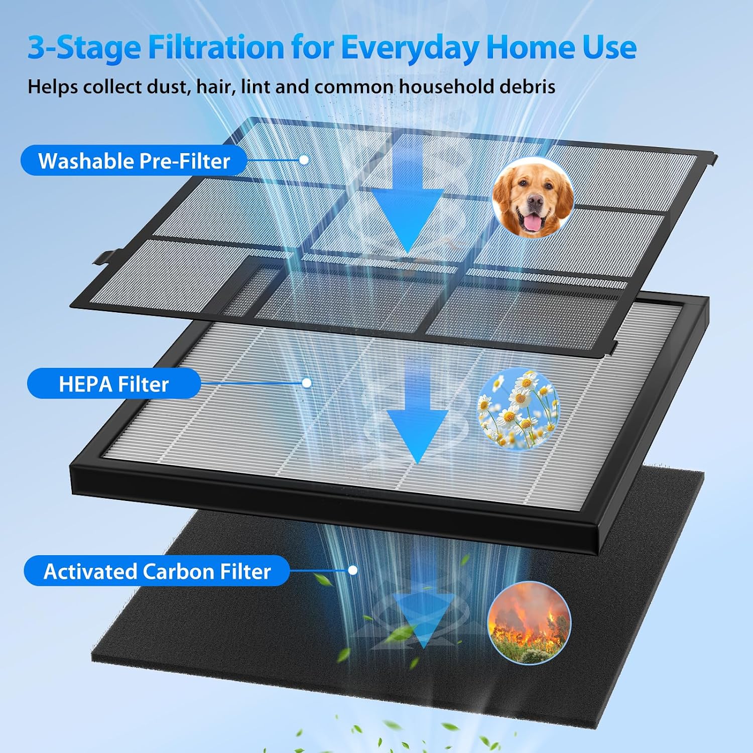 Thumbnail 4 de FreAire Air Purifier HAP605