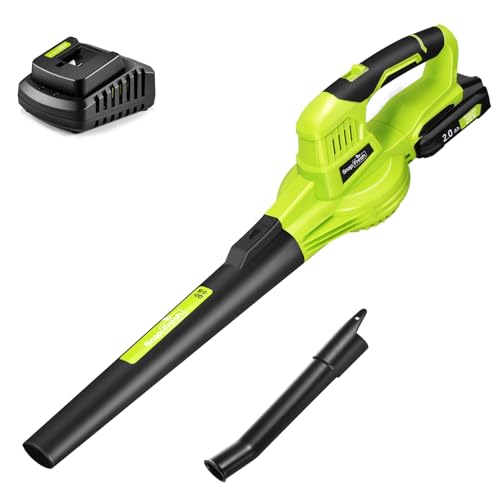 Imagen de SnapFresh Souffleur Batterie 20V Léger 1,2 kg – Souffleur de feuilles sans fil, turbo 210 km/h en OfertitasTOP