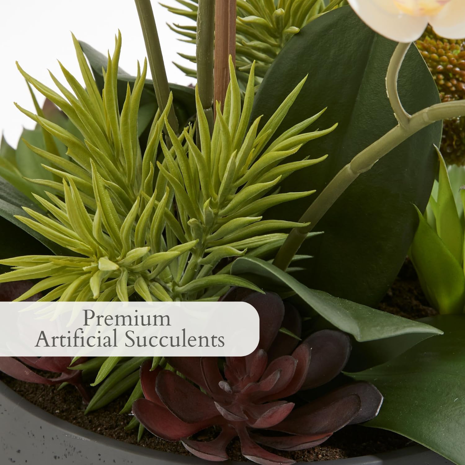Detalle 2 de CG Hunter ORC-23017 Faux Orchid Plant with Succulents, 24-Inch Gray Planter