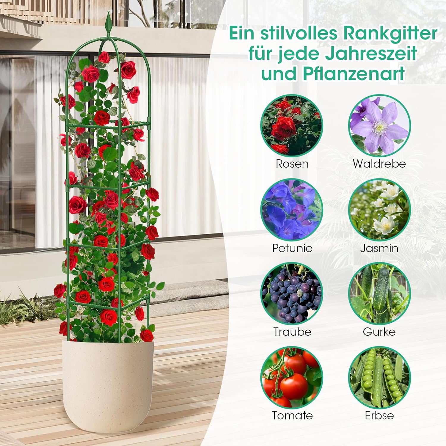 Thumbnail 4 de MQHUAYU support plantes grimpantes 171 cm