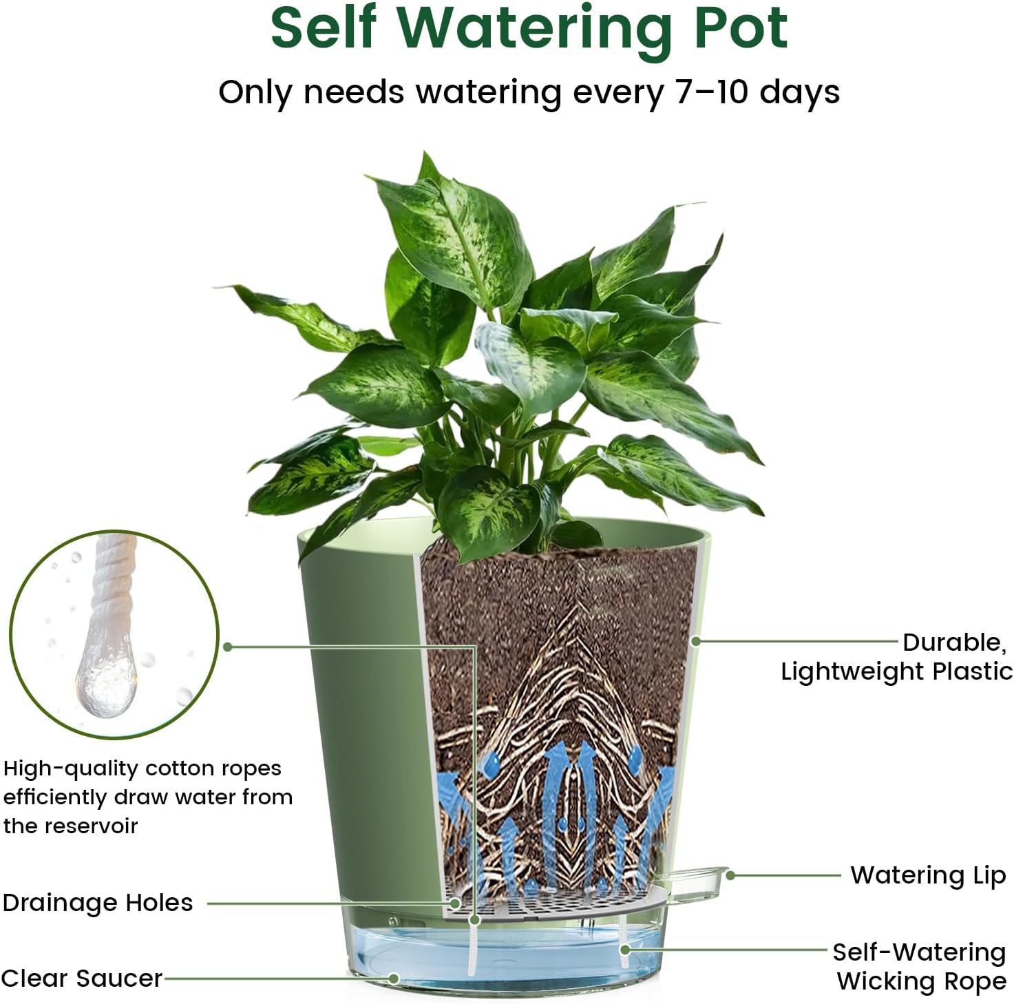 Thumbnail 3 de WSMKSZ 15 cm Self-Watering Pots for Indoor Plants (5 Pack) – Clear Reservoir, Visible Water Level & Drainage Holes