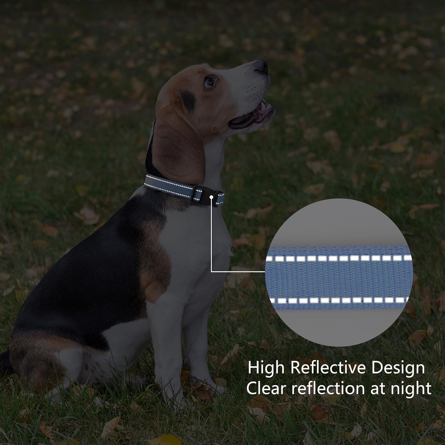 Detalle 1 de PenSeepet Reflective Dog Collar, Nylon
