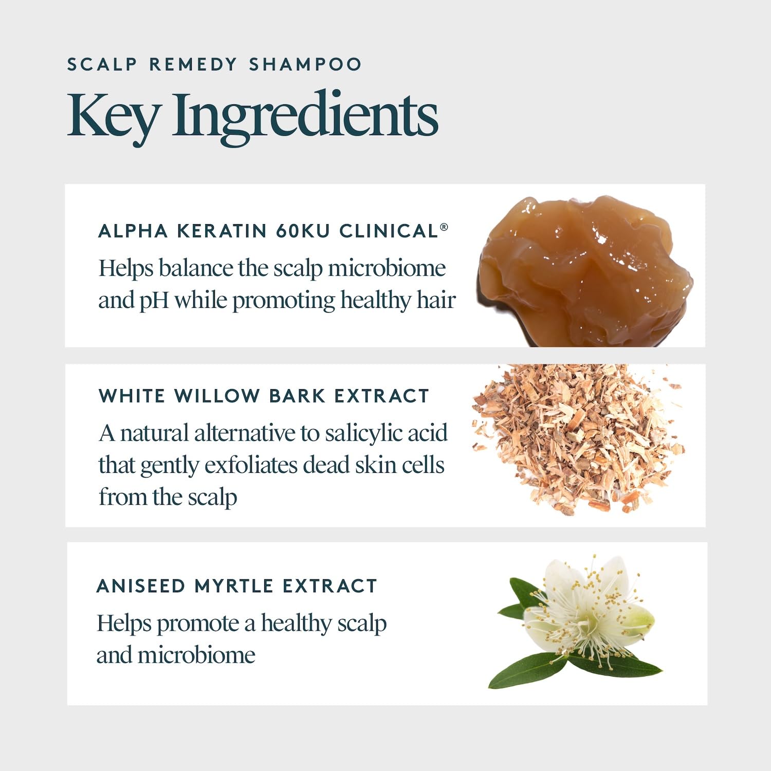 Detalle de VIRTUE Scalp Remedy Shampoo 8 Fl Oz