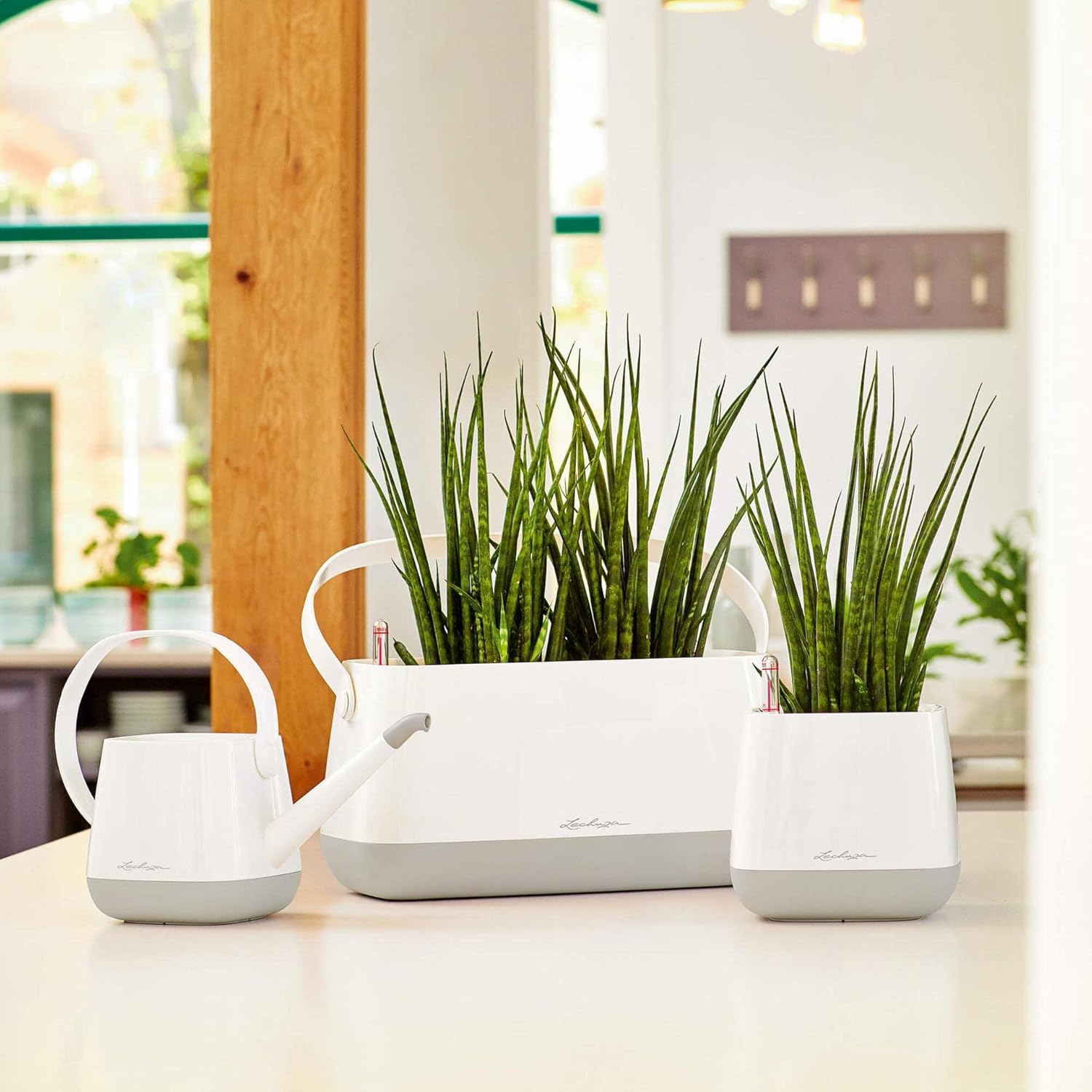 Thumbnail 5 de LECHUZA YULA 1,7 L bianco tortora