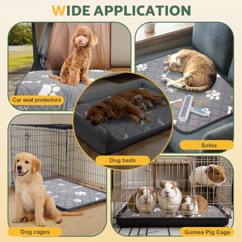 Thumbnail 6 de Gimars Almohadillas de Entrenamiento Reutilizables para Perros – 2 Piezas, 60x50 cm