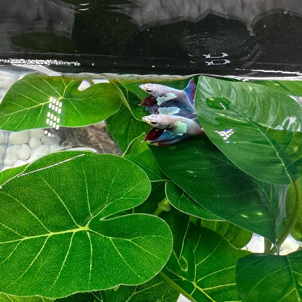 Detalle de Smoothedo-Pets Green-Type-A 水槽用人工水草 15cm グリーンのレイアウト飾り