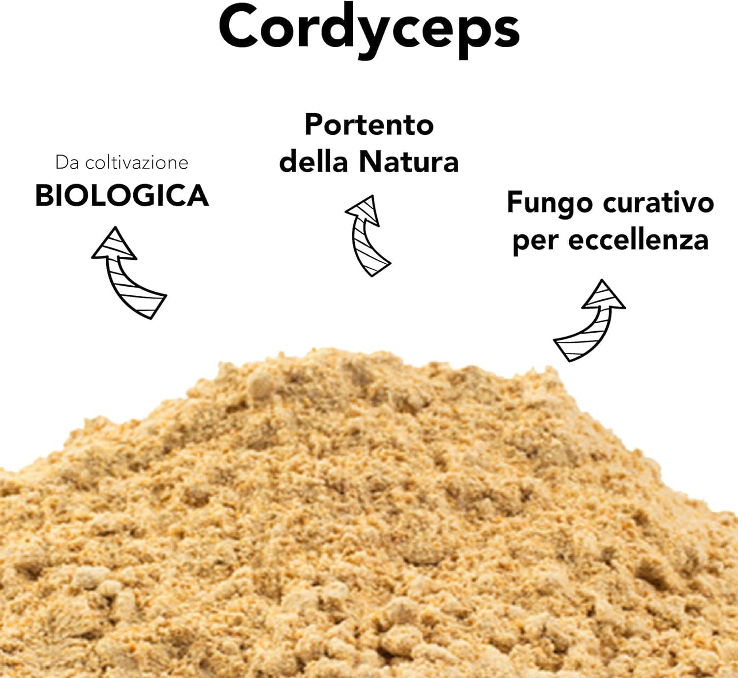 Thumbnail 2 de Cordyceps Sinensis in polvere crudo al 100%, 100 g