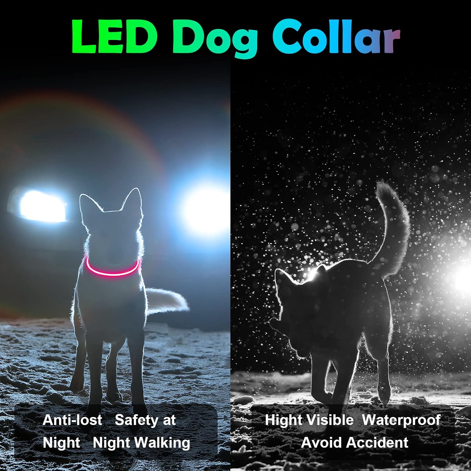 Detalle 2 de AUAUY collare luminoso LED per cani 6 ore