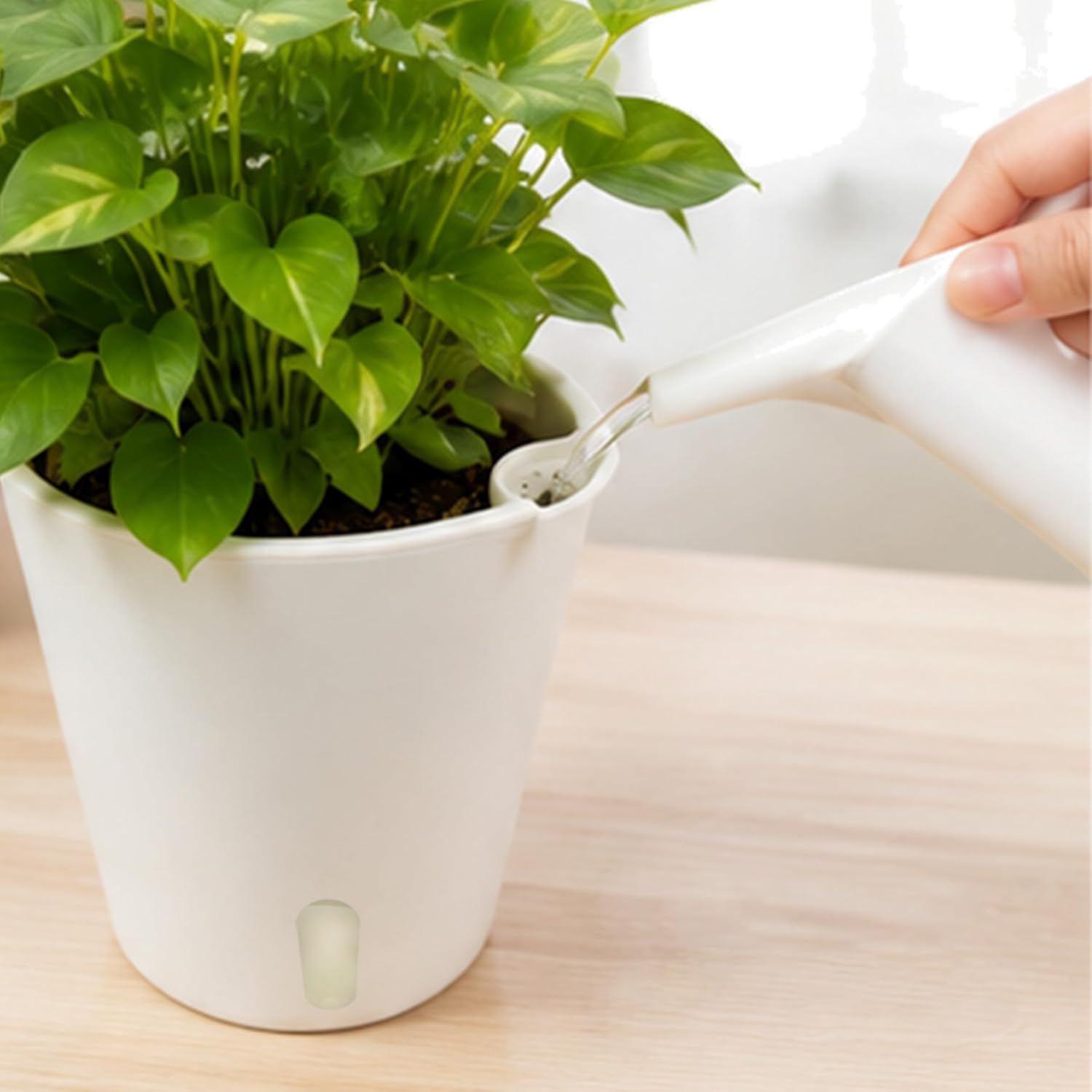 Detalle 2 de SYITCUN self watering pots, 5-inch indoor planters with water-level windows