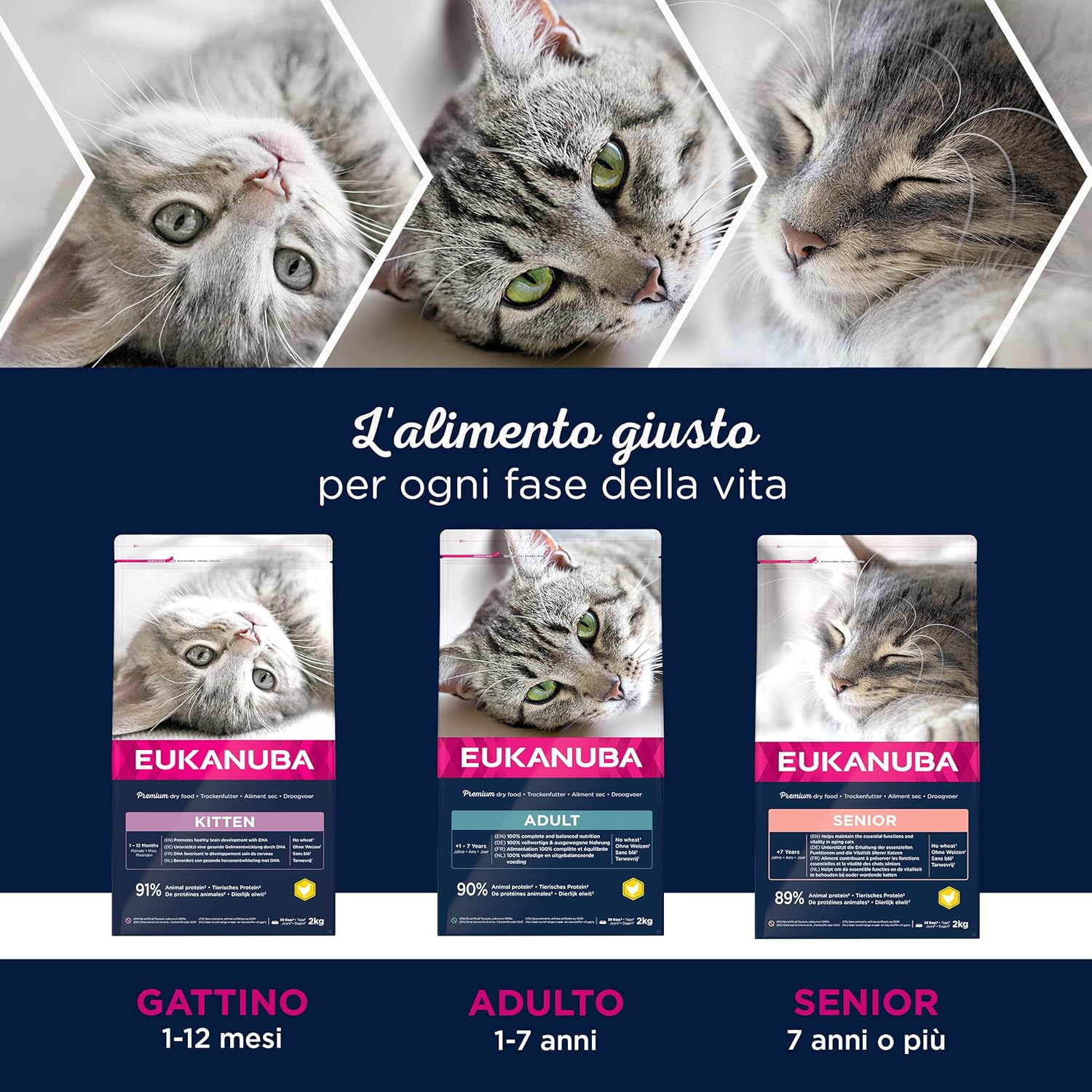 Detalle de Eukanuba Alimento secco per gattini in crescita al pollo fresco, 2 kg