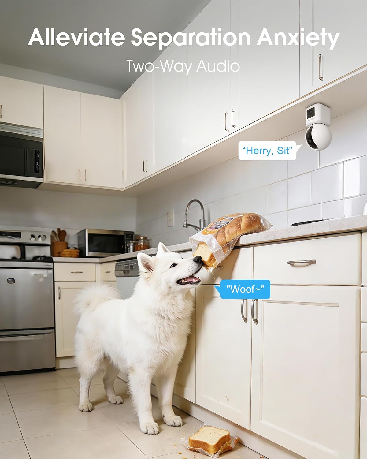 Thumbnail 4 de ARCCTV Y3 Indoor Security Camera, 360° Dual-Lens 2‑Pack with 24/7 Recording