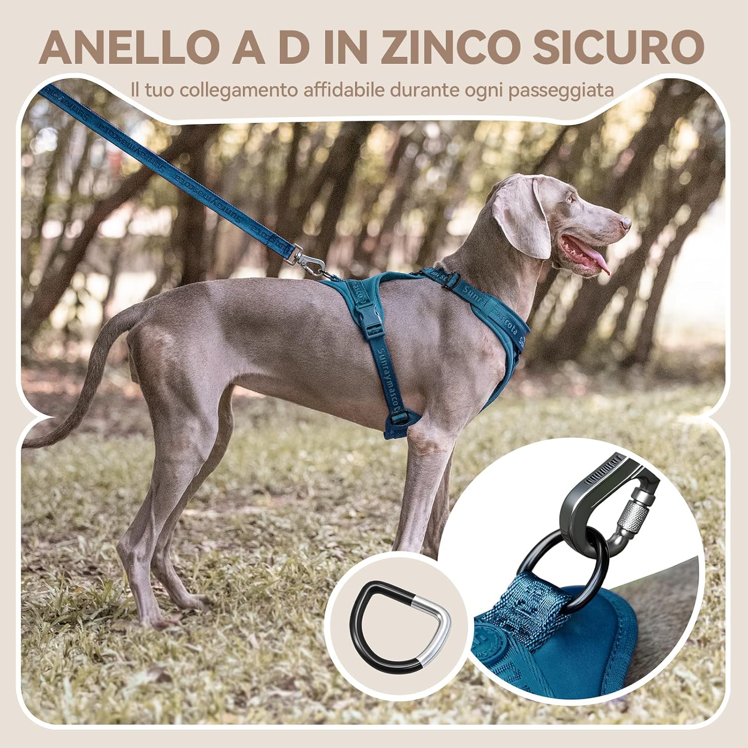 Thumbnail 6 de Sunraymascota imbracatura per cani con imbottitura in Lycra, rete traspirante e taglia regolabile (Blu di Prussia, S)