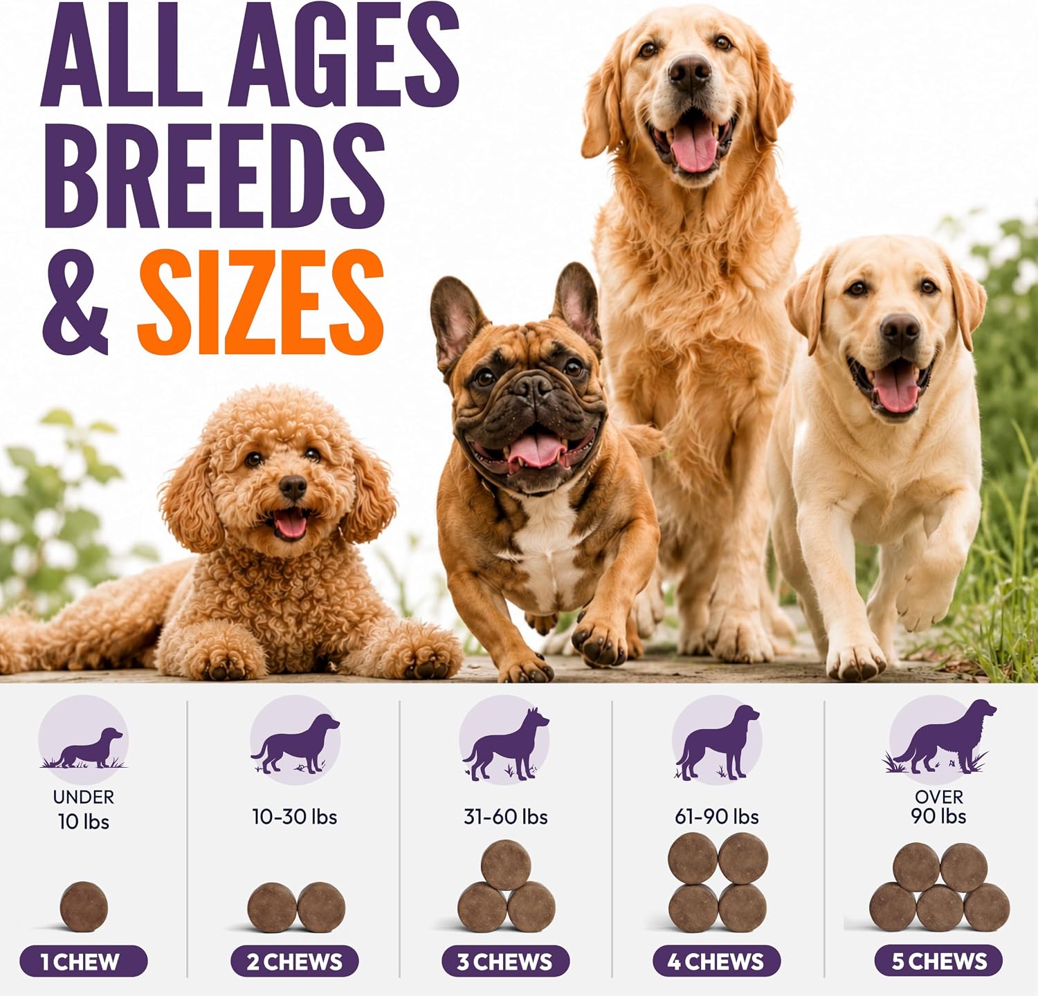 Thumbnail 6 de Petsology MLTND Dog Melatonin Calming Chews, 170 Chicken-Flavor Soft Chews