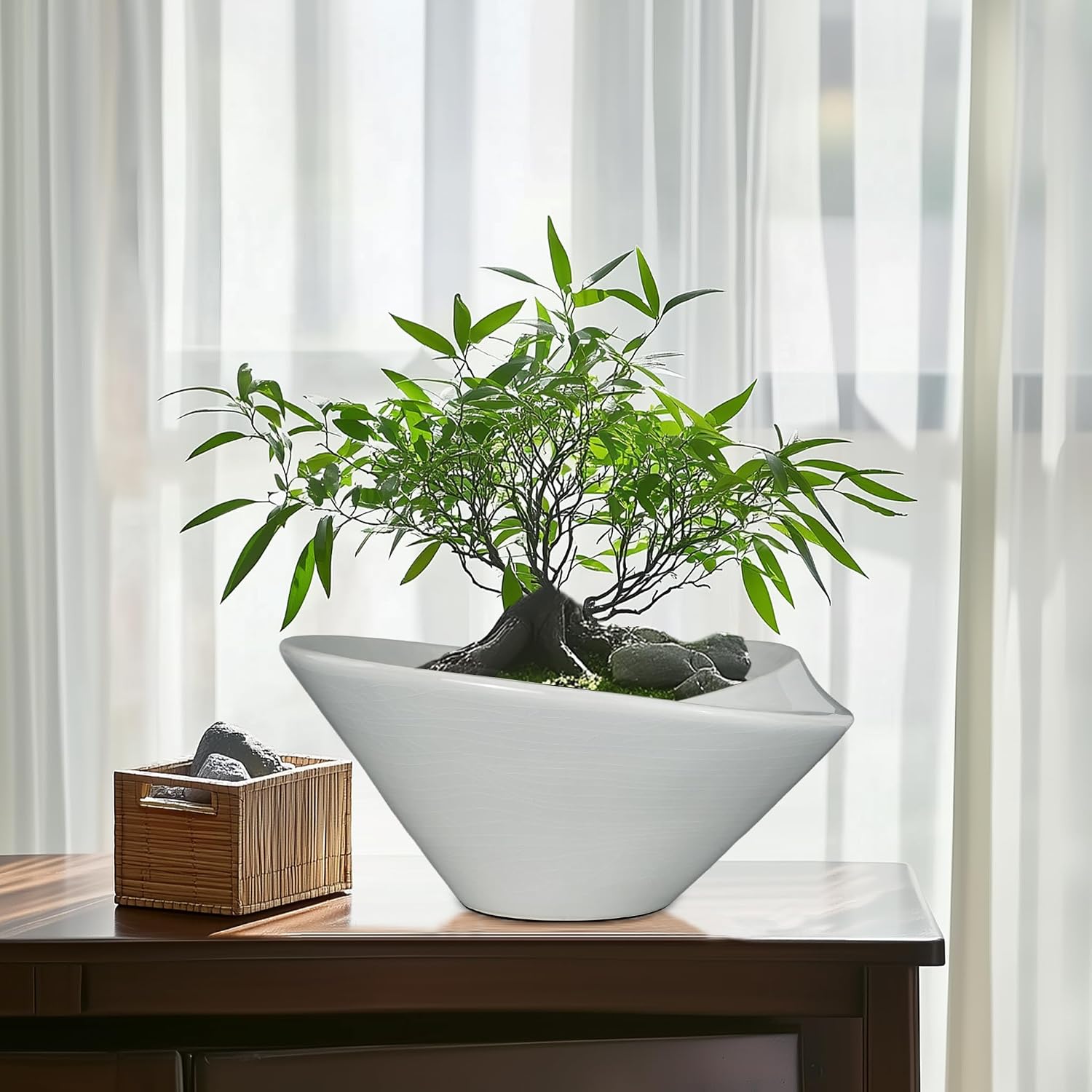 Detalle 2 de Teagas Bonsai Pots 13 Inch Ceramic Planter