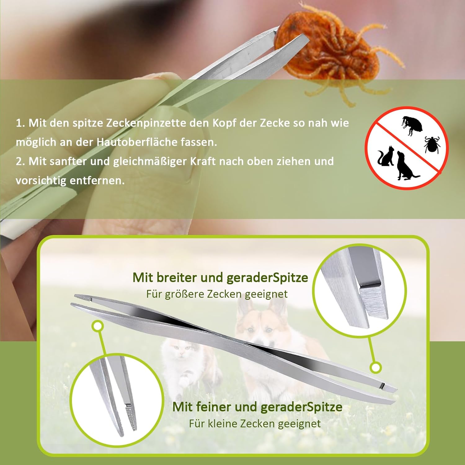 Detalle 1 de Nepfaivy Zeckenzange 5er Set für Hunde