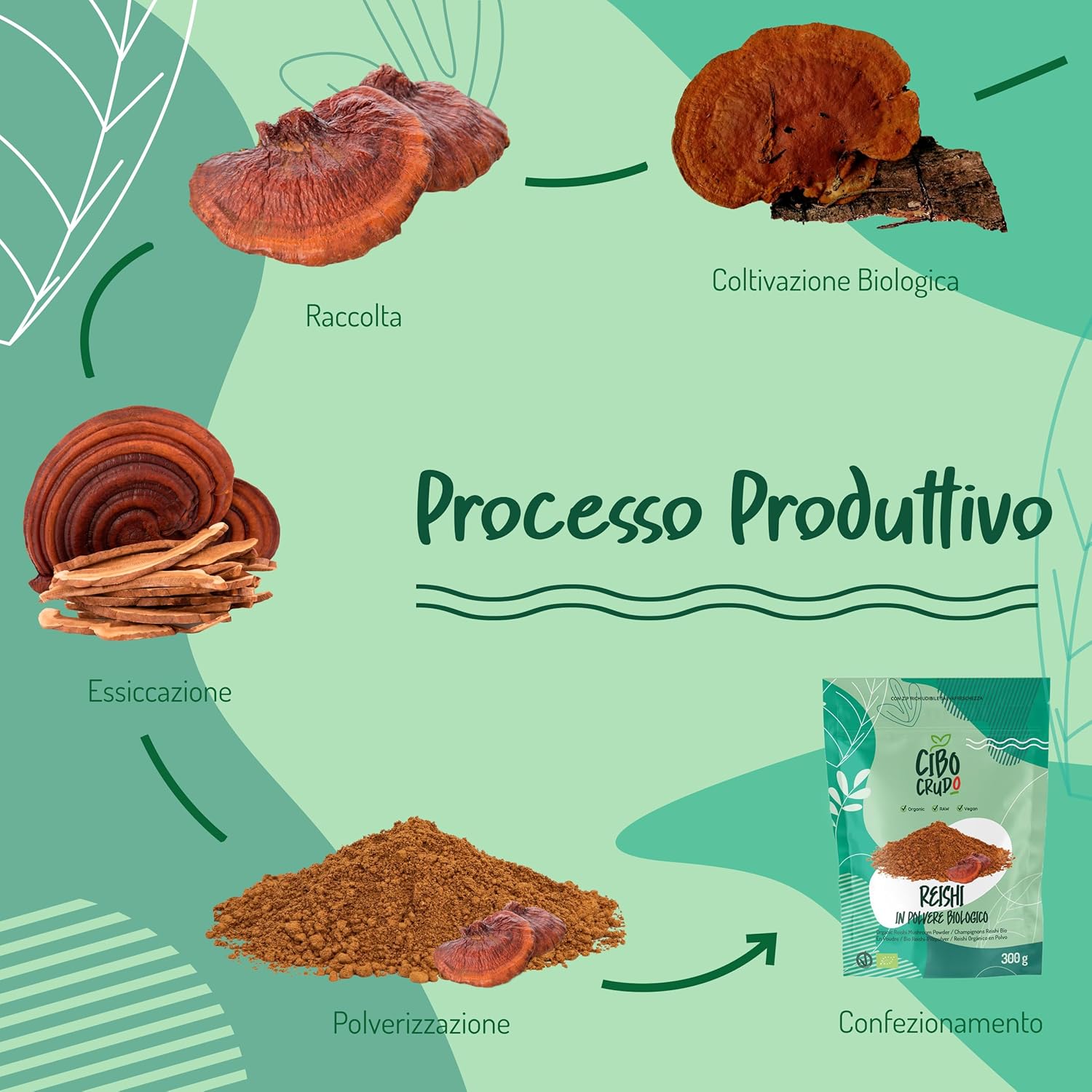 Thumbnail 4 de Reishi Ganoderma Lucidum Puro e Bio in Polvere 300g (Luce/temperature inferiori a 42°C) – reishi biologico essiccato al sole e macinato