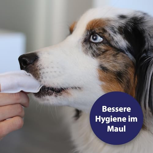 Detalle 2 de Canosept Zahnpflege Finger-Pads für Hunde – 50 Stück