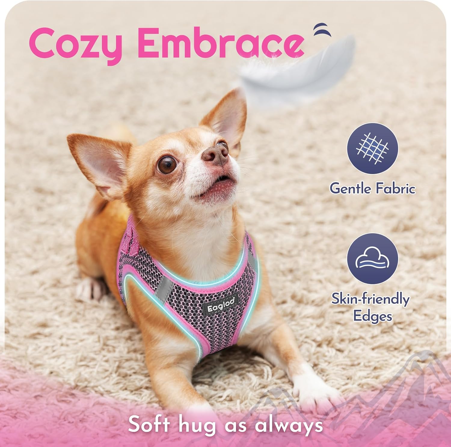 Detalle 2 de Eagloo Small Dog Harness XXS