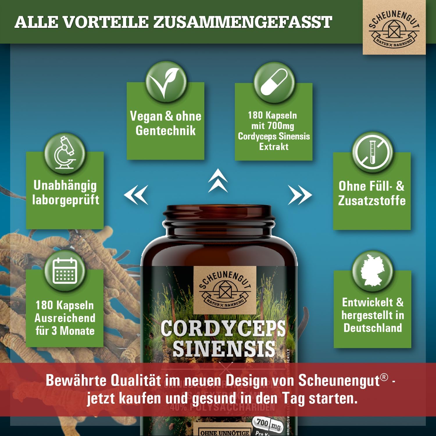 Thumbnail 5 de Cordyceps 1400 mg (10:1 Extrakt) – 40% bioaktive Polysaccharide, vegan – DE SCHEUNENGUT®