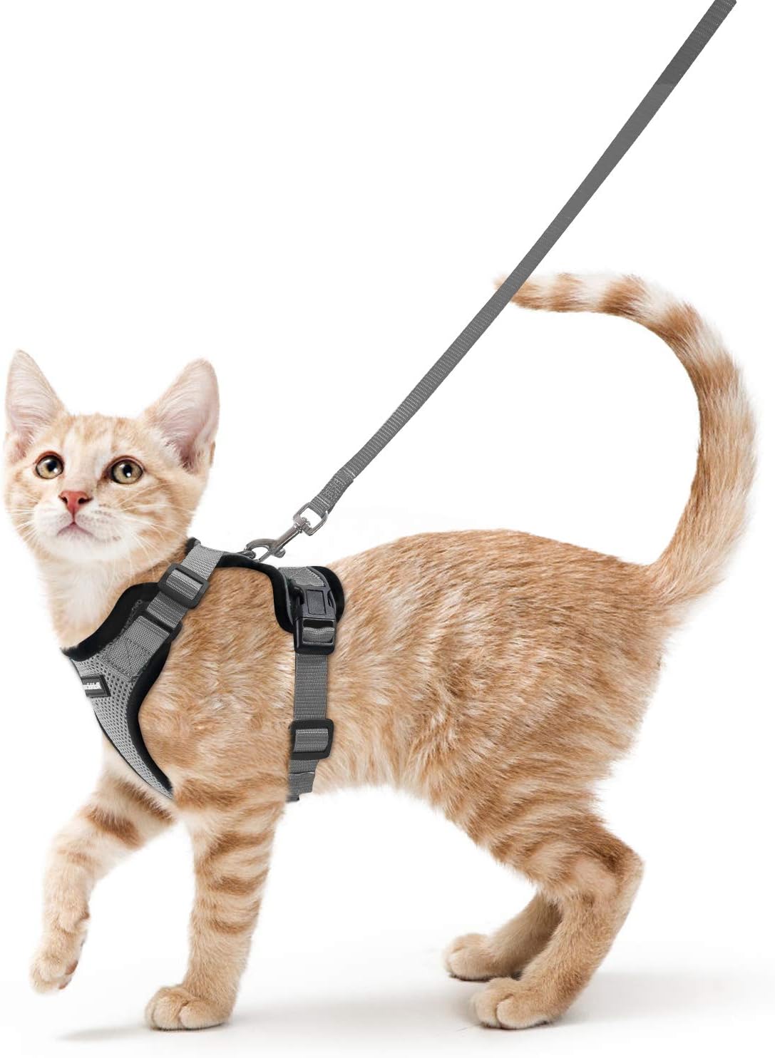 Detalle de rabbitgoo Harnais Chat XS rĂ©glable 34,3 cm đŸ