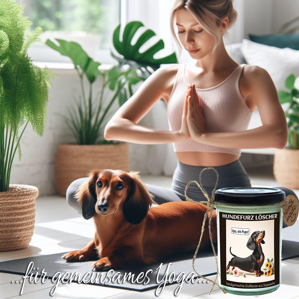 Thumbnail 5 de Duftkerze mit Dackel-Motiv „Ups, noch ein Pups“ – handgemacht aus Sojawachs (Apfel-Zimt, 160 g)