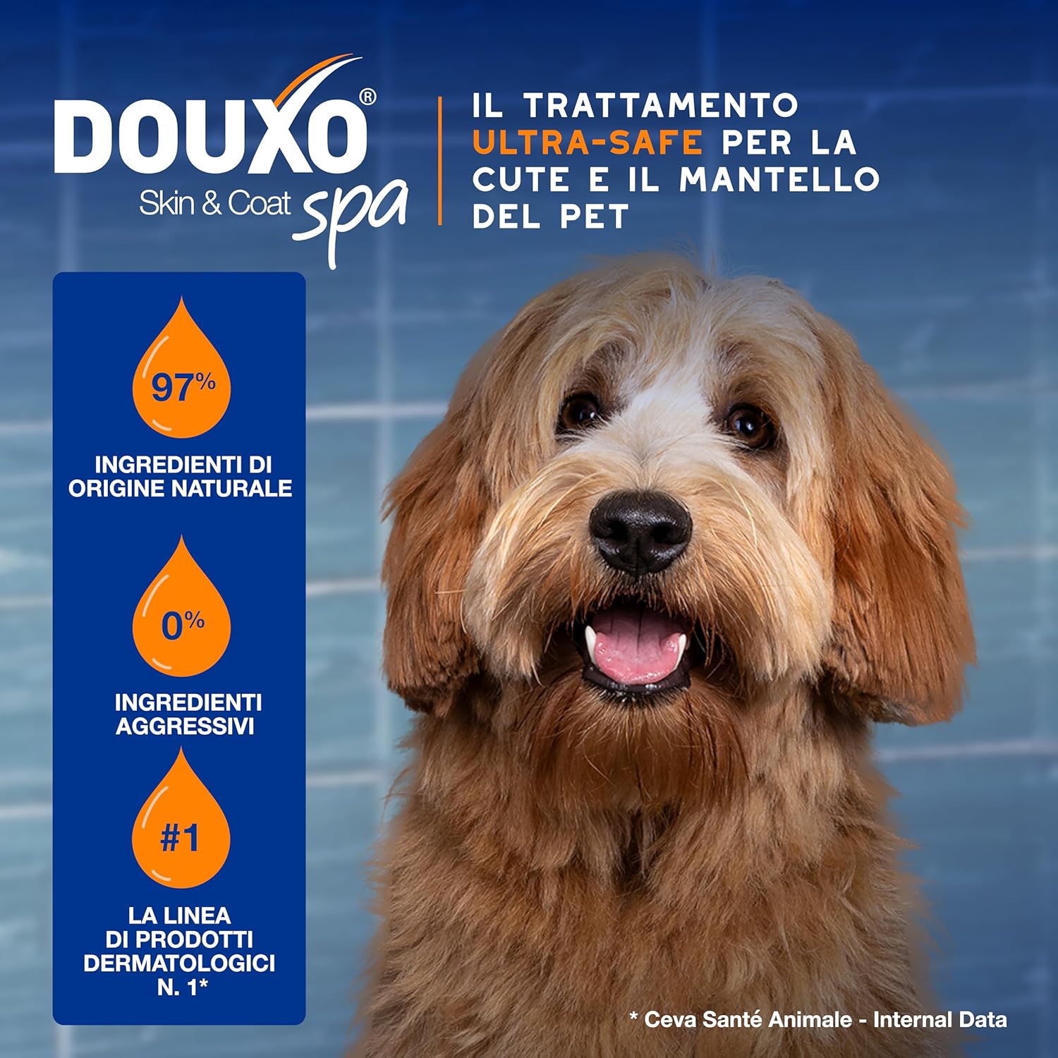 Detalle de DOUXO Skin & Coat SPA 340 ml spray districante